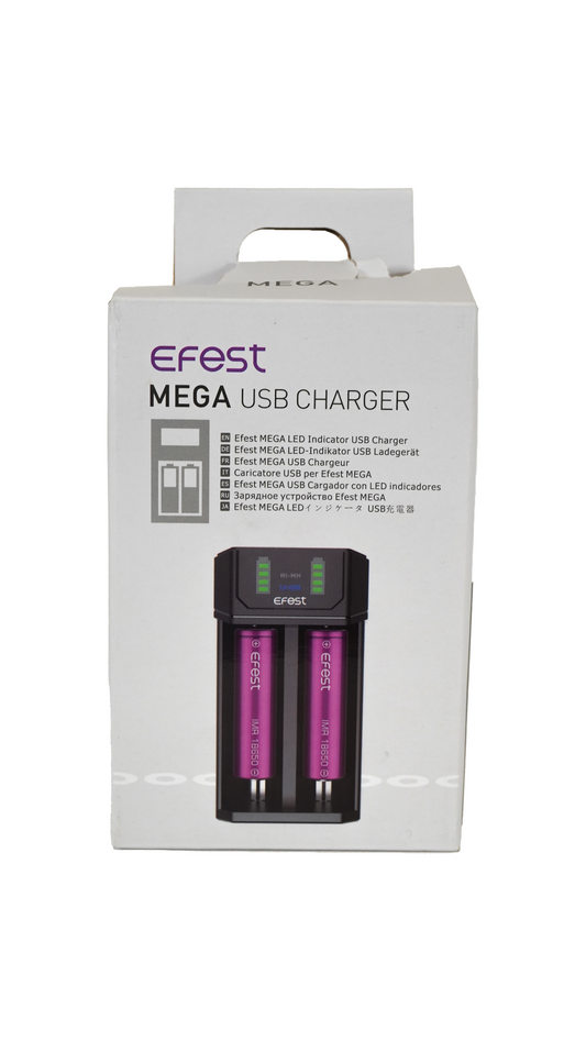 EFEST CHARGER